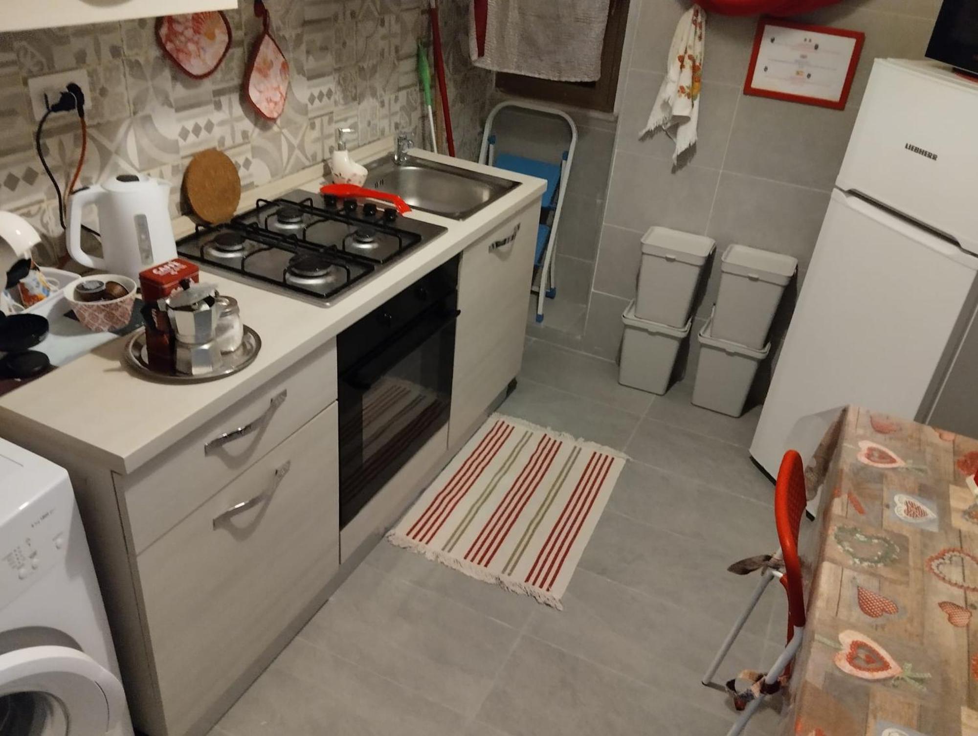 Dama Domus Apartment Rom
